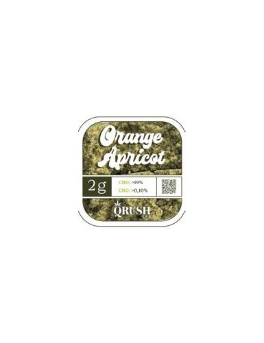 ORANGE APRICOT 4GR QRUSH