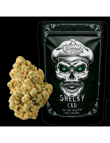 SHELBY CBD 10gr  IGUANA SMOKE