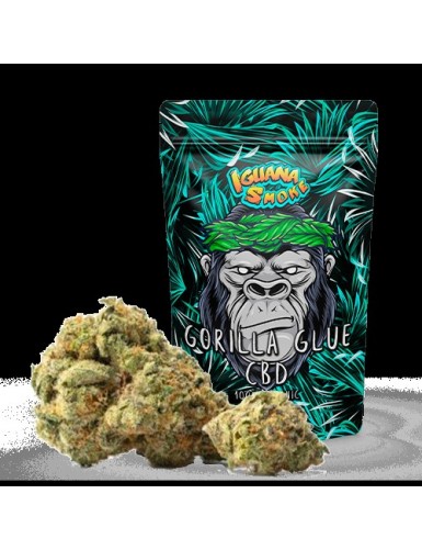 GORILLA GLUE 10gr  IGUANA...