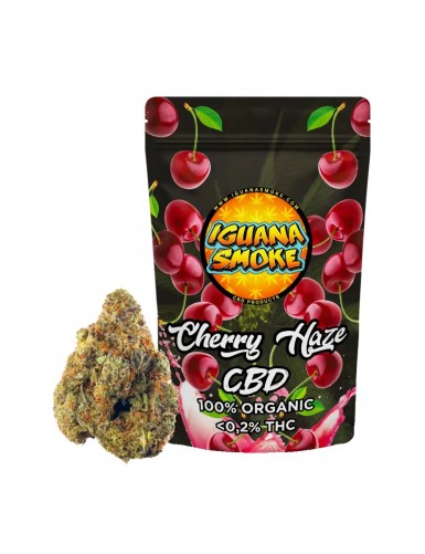 CHERRY HAZE 2gr  IGUANA SMOKE