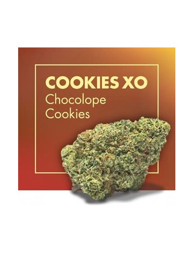 copy of NEW YORK DIESEL CBD