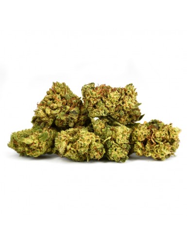 AMNESIA LEMON SMALL BUDS...