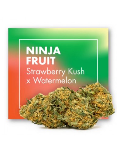 NINJA FRUIT CBD 2gr CANNACTIVA