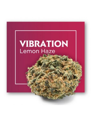 VIBRATION (LEMON HAZE) CBD...