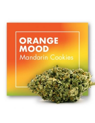 ORANGE MOODS (MANDARIN...