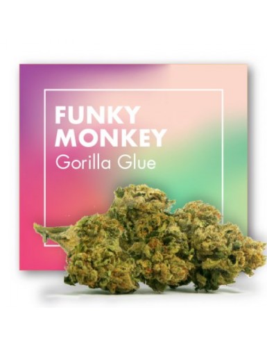 FUNKY MONKEY (GORILLA GLUE)...