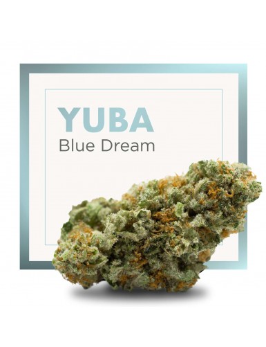 YUBA (BLUE DREAM) CBD 2gr...