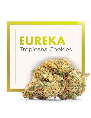 EUREKA (TROPICAL COOKIES )...