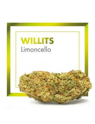 WILLITS (LIMONCELLO) CBD...