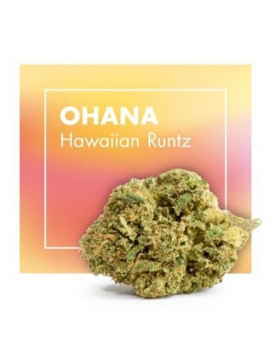 OHANA  (HAWAIIAN RUNTZ) CBD...