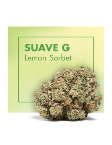 SUAVE (LEMON SORBET)...