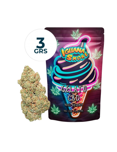 GELATO 2gr  IGUANA SMOKE