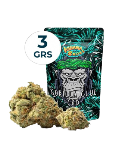 GORILLA GLUE 2gr  IGUANA SMOKE