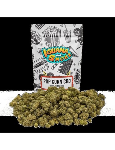 POP CORN 15GR IGUANA SMOKE