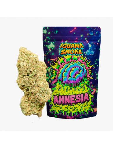 AMNESIA 5gr  IGUANA SMOKE
