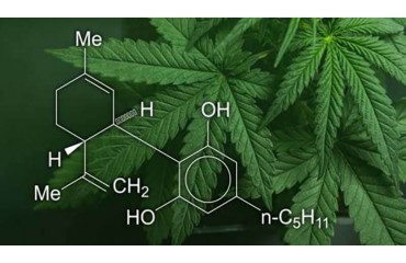 Qué Beneficios aporta el CBD