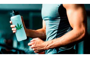 Cannabidiol y el Deporte